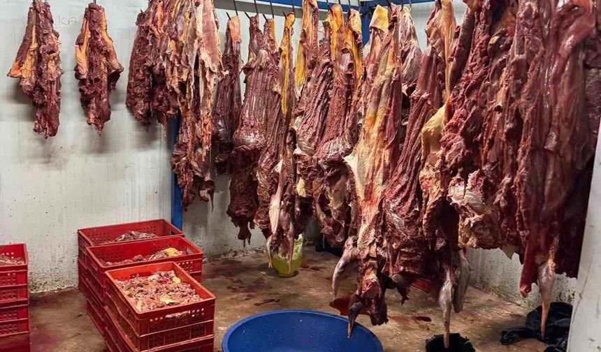 3 ton bozulmuş  at eti ele geçirildi!