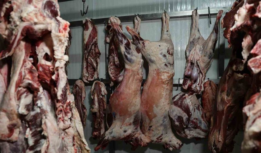 Adanalı Esnaf İsyanda: “Kebapta At Eti Olur mu?”