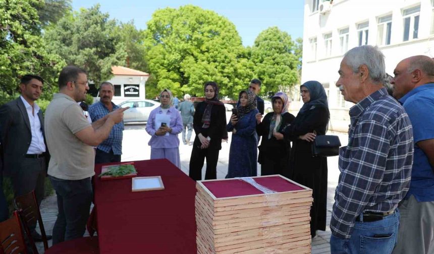 Elazığ’da İpek Gibi Bir Gelecek: Üreticiye Ücretsiz Larva Desteği!
