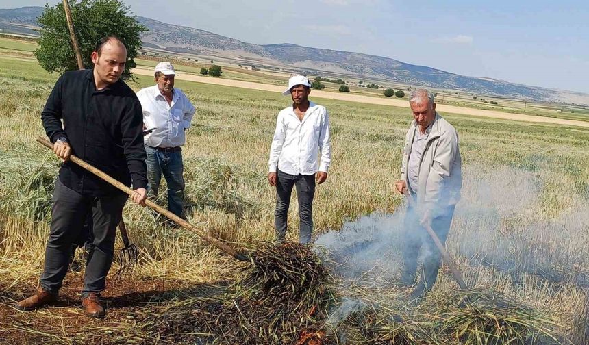 Sadece 8-10 Günde Yapılıyor: Gaziantep’in Eşsiz Firik Pilavı Hazırlıkları Başladı