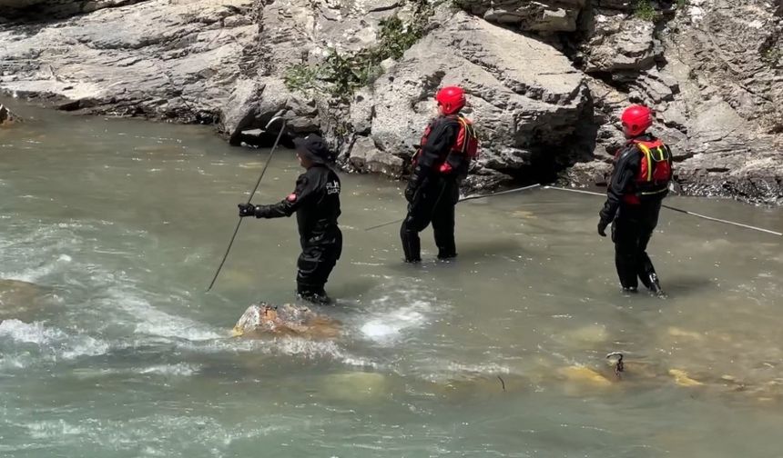 Yüksekova'da Korkunç Kaza: 16 Yaşındaki Çocuk Avaşin Deresi'nde Kayboldu