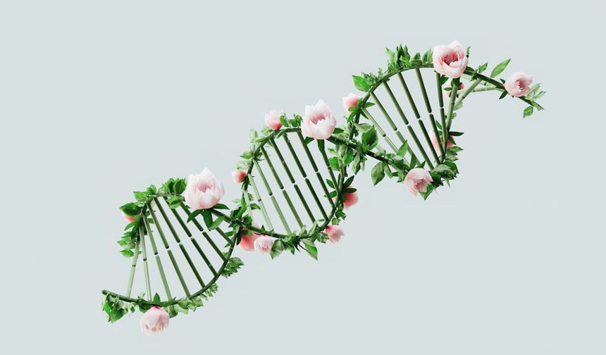 Karma Astroloji: Geçmiş Yaşamlarınız Geleceğinizi Nasıl Etkiliyor?