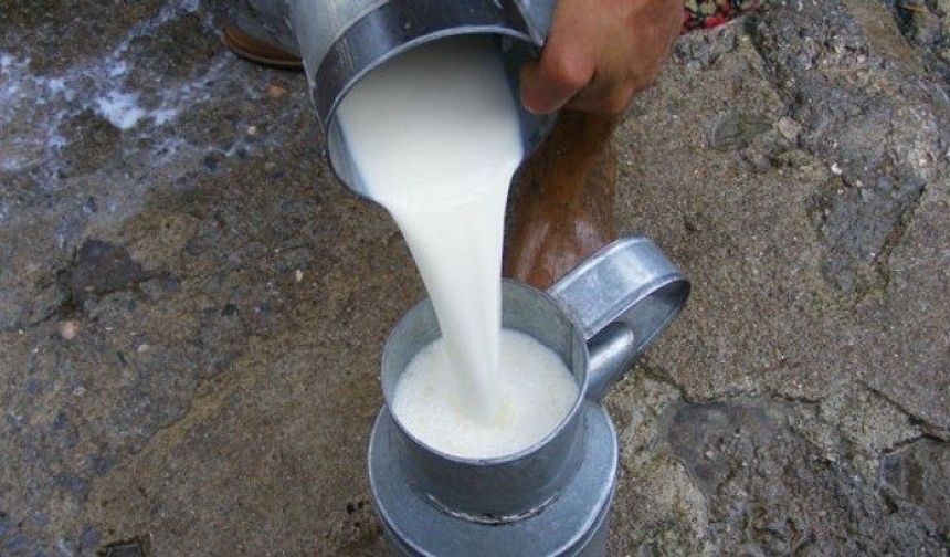 İçme Sütlerinde Yeni Dönem! Artık Bunlara İzin Verilmeyecek