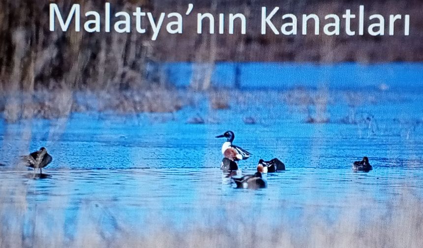 Malatyalı hekimin kuş sevgisi Malatya’nın Kanatları oldu