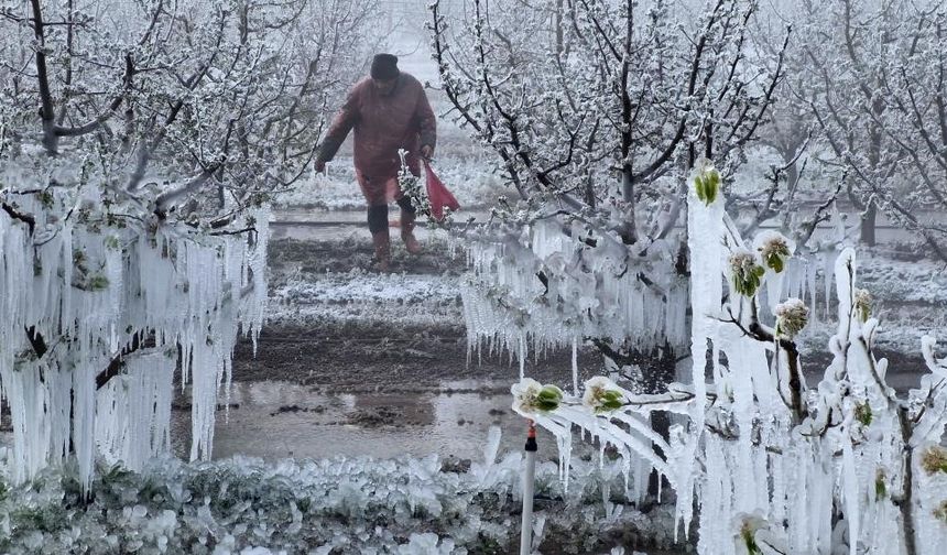 Zirai Don Komisyon’unda Malatya’yı O vekil temsil edecek!