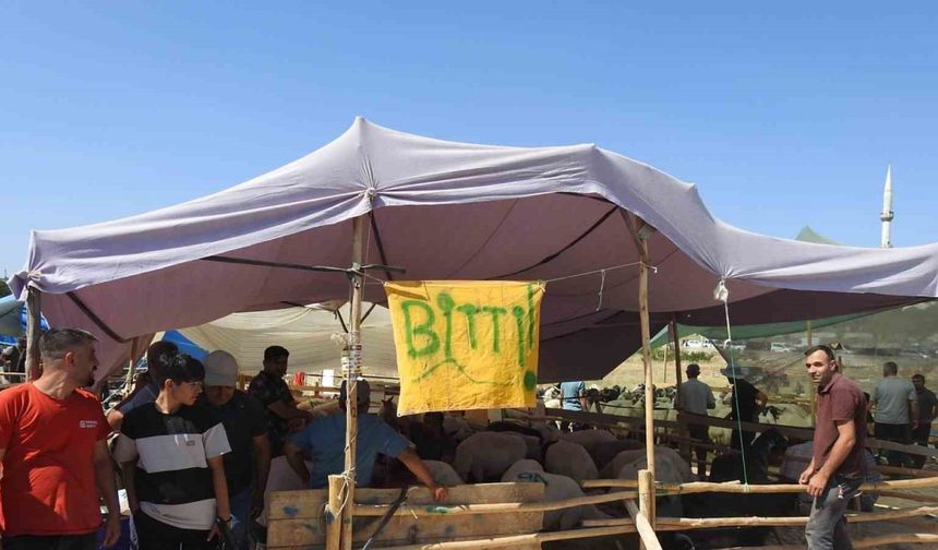 Kurban Bayramı’nın ilk günü hayvan pazarları dolup taştı