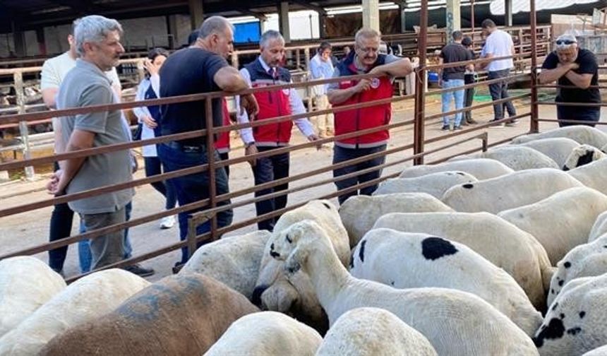 Kurbanlık hayvan satışı ve nakliyesi sıkı denetimde