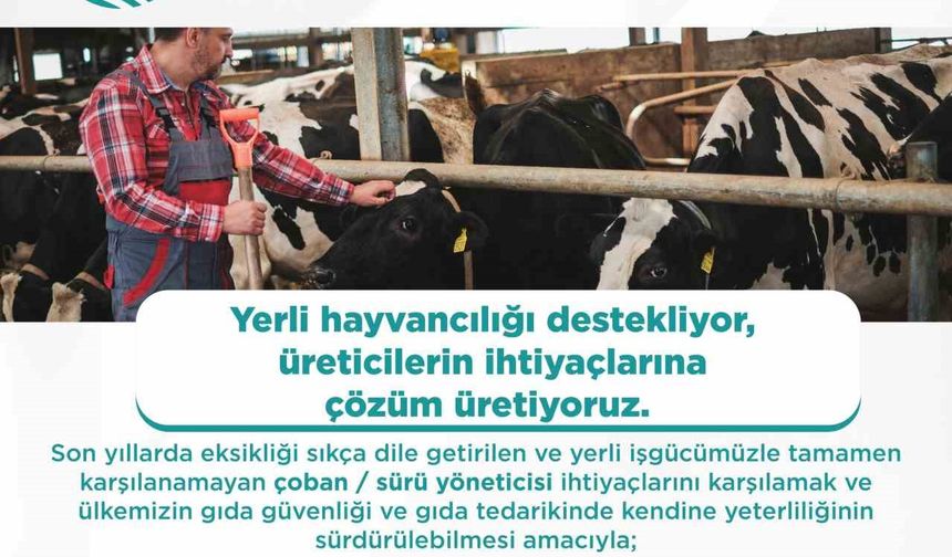 Yabancı çobanlar için çalışma izni başvuruları başladı