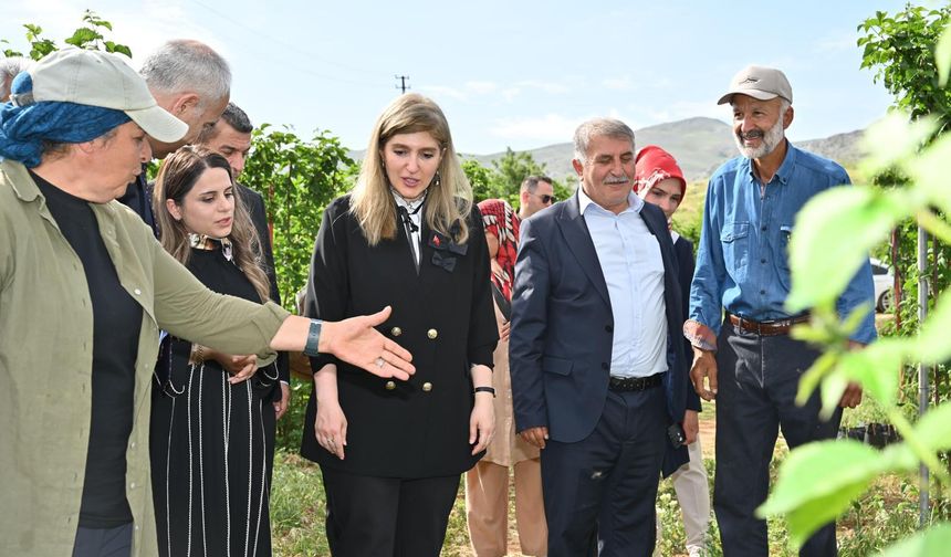 Milletvekili Ölmeztoprak’tan Üreticiyi Sevindiren Açıklama