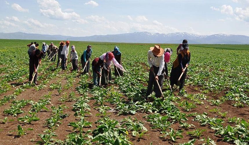 Malatya Valiliği Açıkladı! Üreticiye Dev Hibe Desteği: Başvurular Başladı