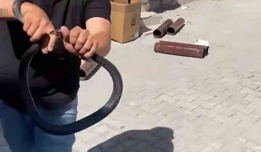Yılancı Kemal, parmağını kaptırdı!