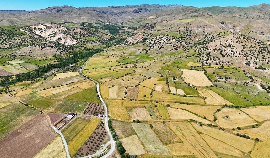 Malatya’da Büyük Tarla Satışı! 3 Taşınmazın Değeri Belli Oldu