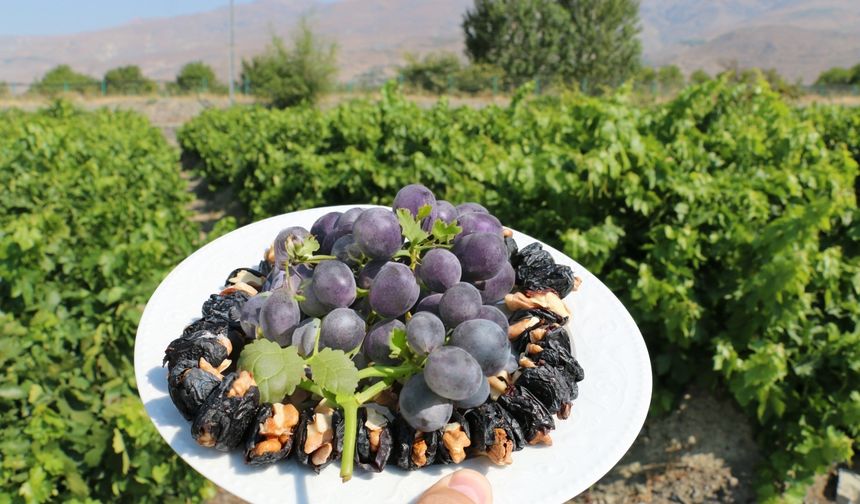 Malatya, Elazığ’dan sonra sıra Erzincan’da! Şimdi Cimin hasat zamanı!