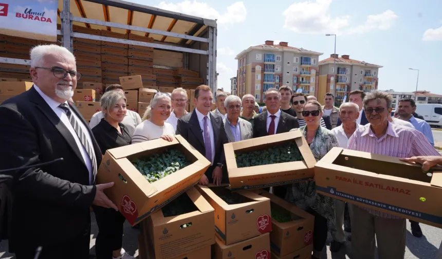 Çiftçilere 5 yılda 70 milyon fide desteği