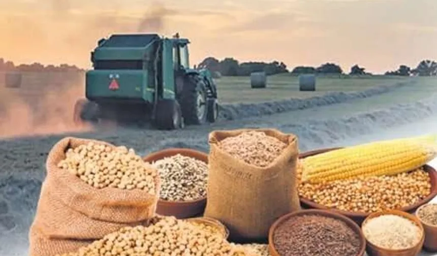 TÜRİB’de Hububat Endeksleri: Buğday Yükseldi, Arpa Değer Kaybetti