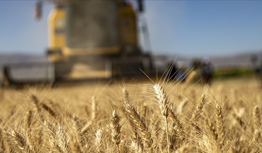 Malatyalı çiftçilerin hesaplarına destek ödemeleri aktarıldı