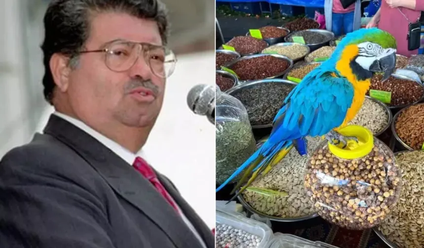 Malatyalı Cumhurbaşkanının papağanı çalındı