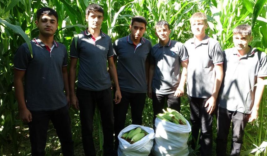 Malatya’da Lise Öğrencilerinden 700 Tonluk Hasat!