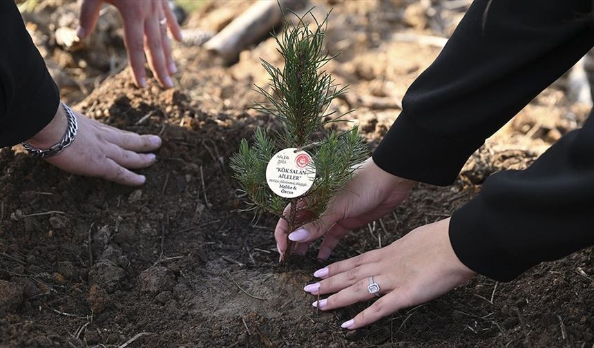 Evlilik Kredisine ilgi büyük