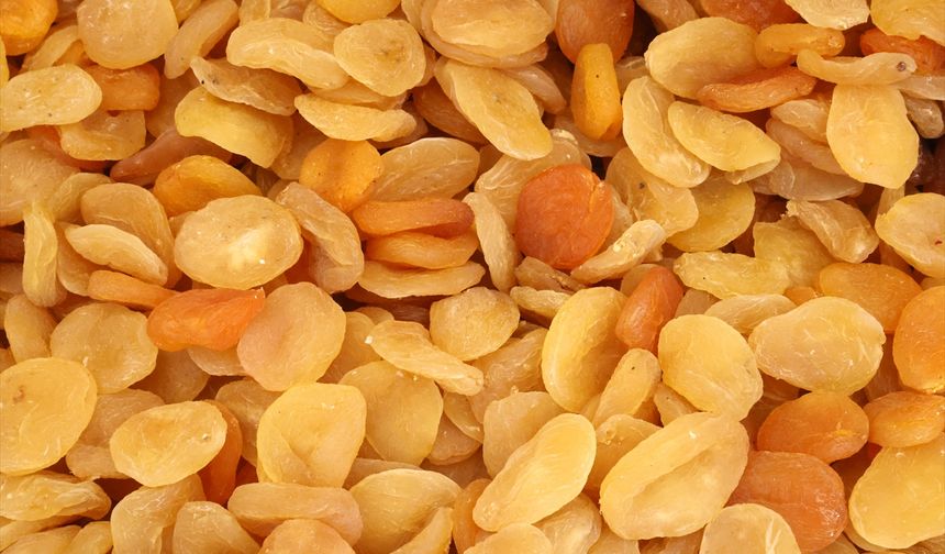 Malatya'da düşüşün sebebi zirai don