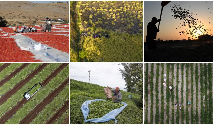 Tarım sayımına katılan çiftçi sayısı 2,7 milyonu aştı