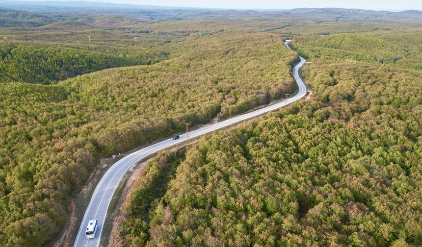 Sonbahar renkleri ormanları sardı