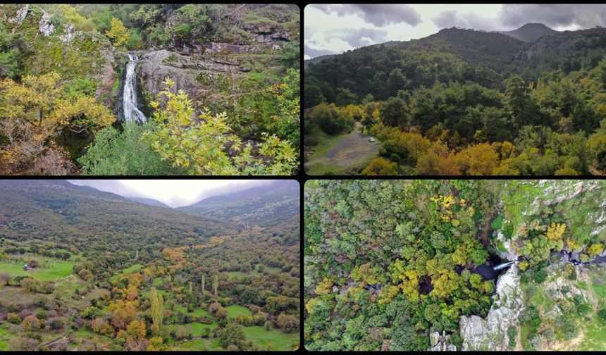 Yunt Dağları hazana büründü