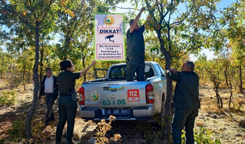 Ormanda  yapay zeka destekli fotokapanla önlem