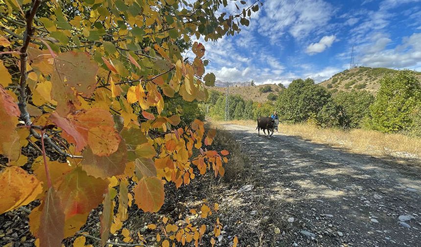 Tunceli’de Elektrik Kesintisi Alarmı! Bu Köylerde Saatlerce Elektrik Olmayacak