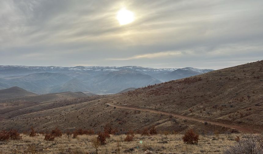 Çin'den Sonra Gözler Malatya'ya Çevrildi