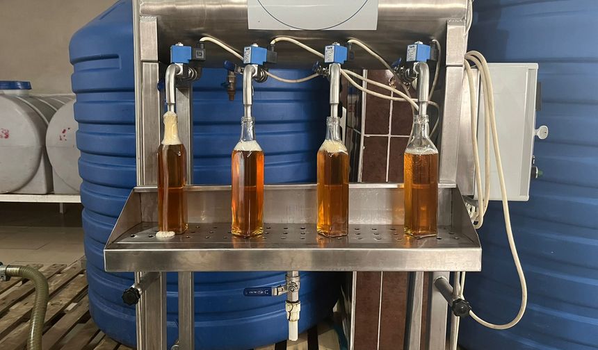 Doğal alıç meyvesi Hekimhan’da katma değerli ürüne dönüştü