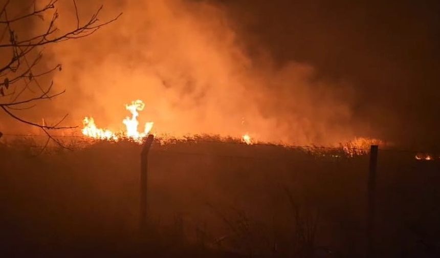 Göldeki kamışlar alev aldı