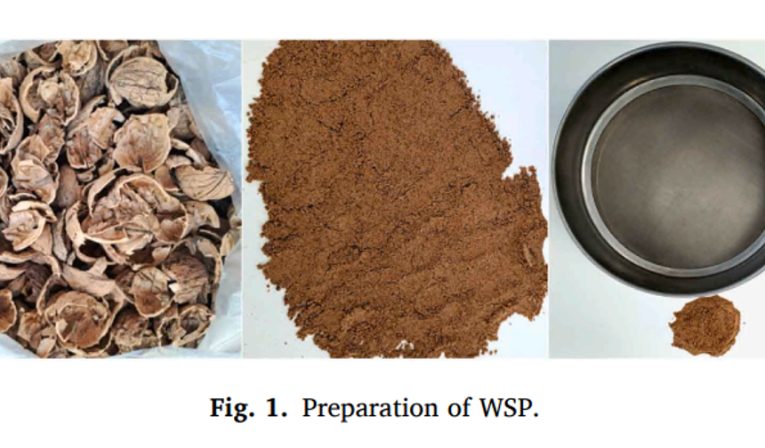 Ceviz kabuğu ne işe yarar demeyin! MTÜ’den çarpıcı araştırma