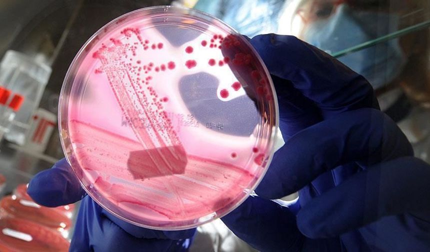 Prostat kanserine Robotik Çağ: Tamamen iyileşme mümkün!