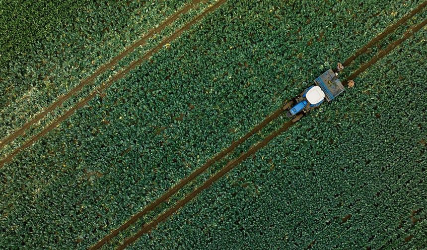 Çiftçilere 1,1 milyar liralık tarımsal destekleme ödemesi bugün yapılacak!