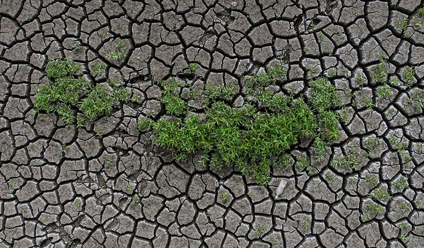 Toprak ile su kaybı, gıdayı ve geleceği doğrudan tehdit ediyor
