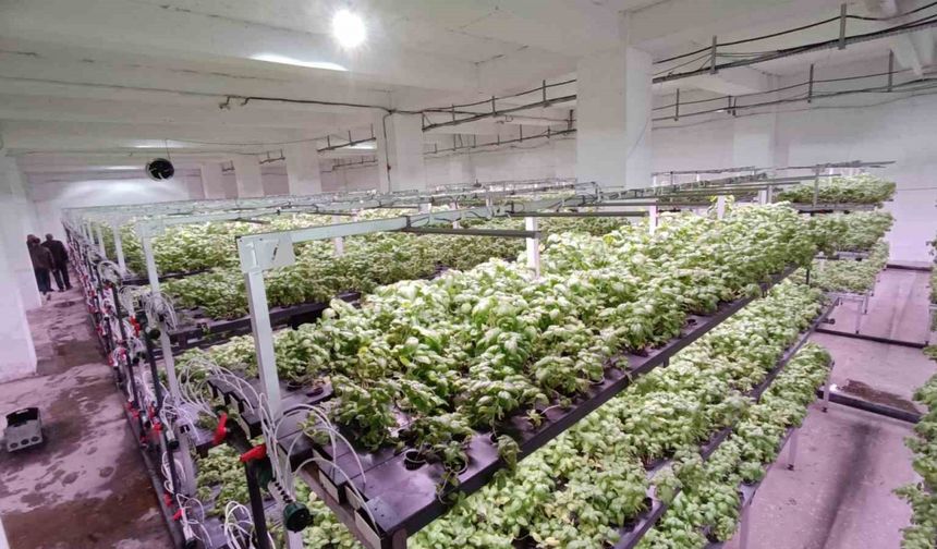 Batman’a eksi birinci katta 30 milyonluk "dikey tarım" yatırımı