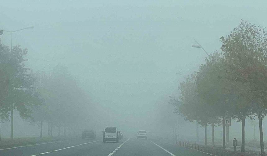 Diyarbakır'da sis etkili oldu