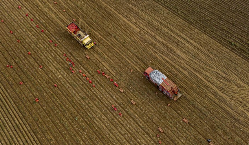 Tarım sezonunun ilk 2 ayında yağışlar yüzde 19 azaldı