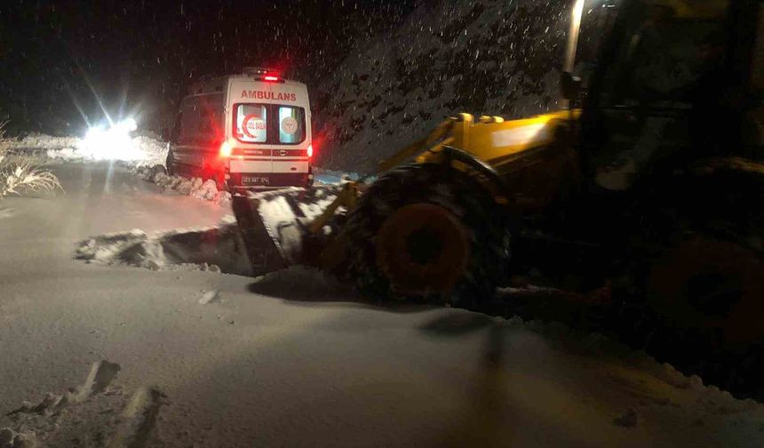 Dicle Kaymakamı Atış: 'İlçede kaymakamlık koordinesinde karla mücadele ediliyor'