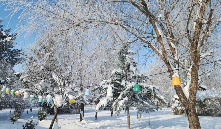Elazığ'da dondurucu soğuklar: Karakoçan'da termometreler -22'yi gösterdi