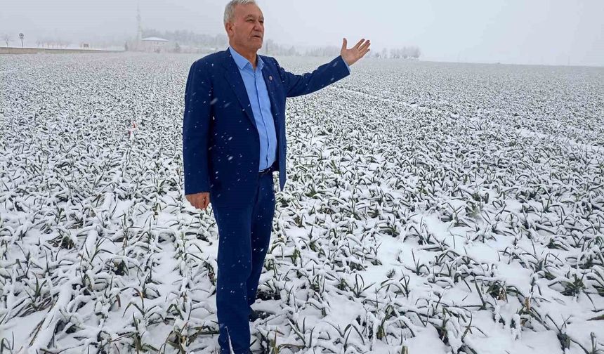 Kar yağışı sarımsak üreticisinin yüzünü güldürecek