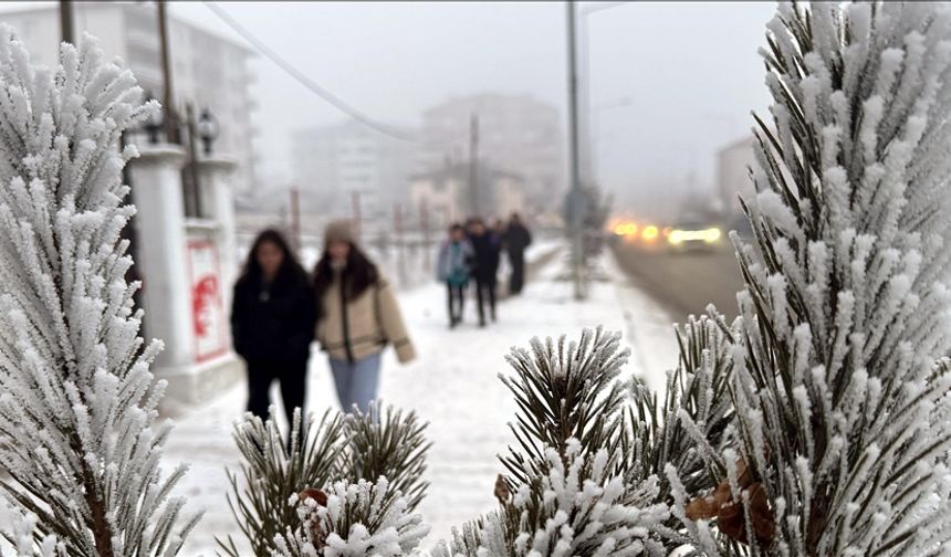 Malatya’da Dondurucu Soğuk Alarmı: Gece Don, Sabah Sis!