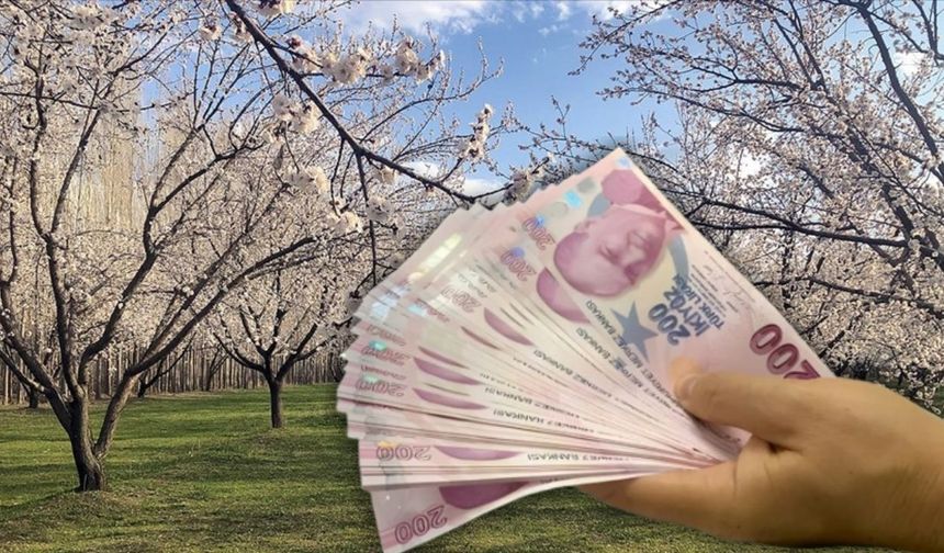 Malatya’da TC’sinin Son Hanesi 0-2-4-6-8 Olanlara 11 bin 555 TL Ödeme