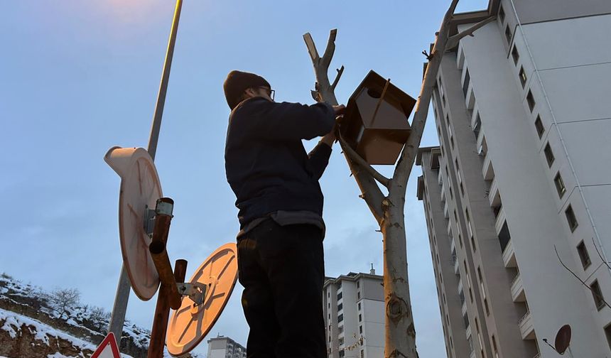 Malatya’da Duyarlı Esnaftan Kuşlar İçin Yuva Projesi