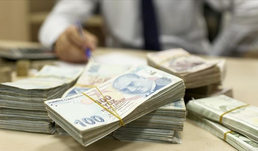 Hazine destekli tarım ve esnaf kredilerine düzenleme