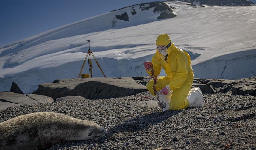 Türk bilim insanları Antarktika'daki araştırmalarıyla sağlık ve tarıma ışık tutuyor