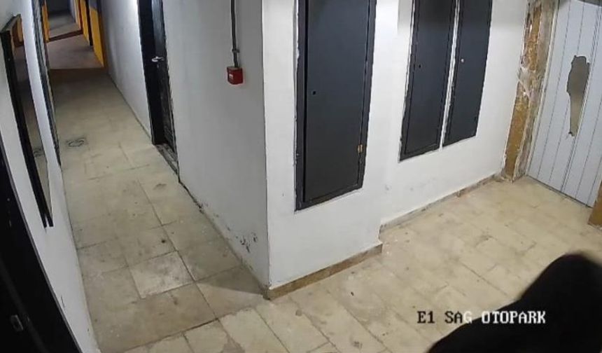 Elazığ'da güvenlik kameralarına zarar veren şahıs kameraya yakalandı