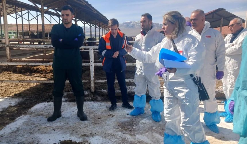 Malatya’da Alarm! 450 Büyükbaş Karantinada