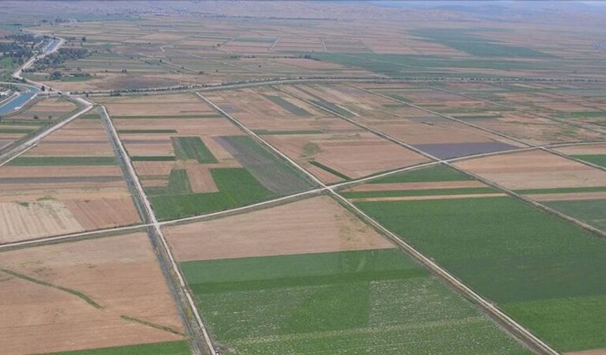 Konya'da kuraklığın ardından gelen yağışlarla toprak suya doydu!